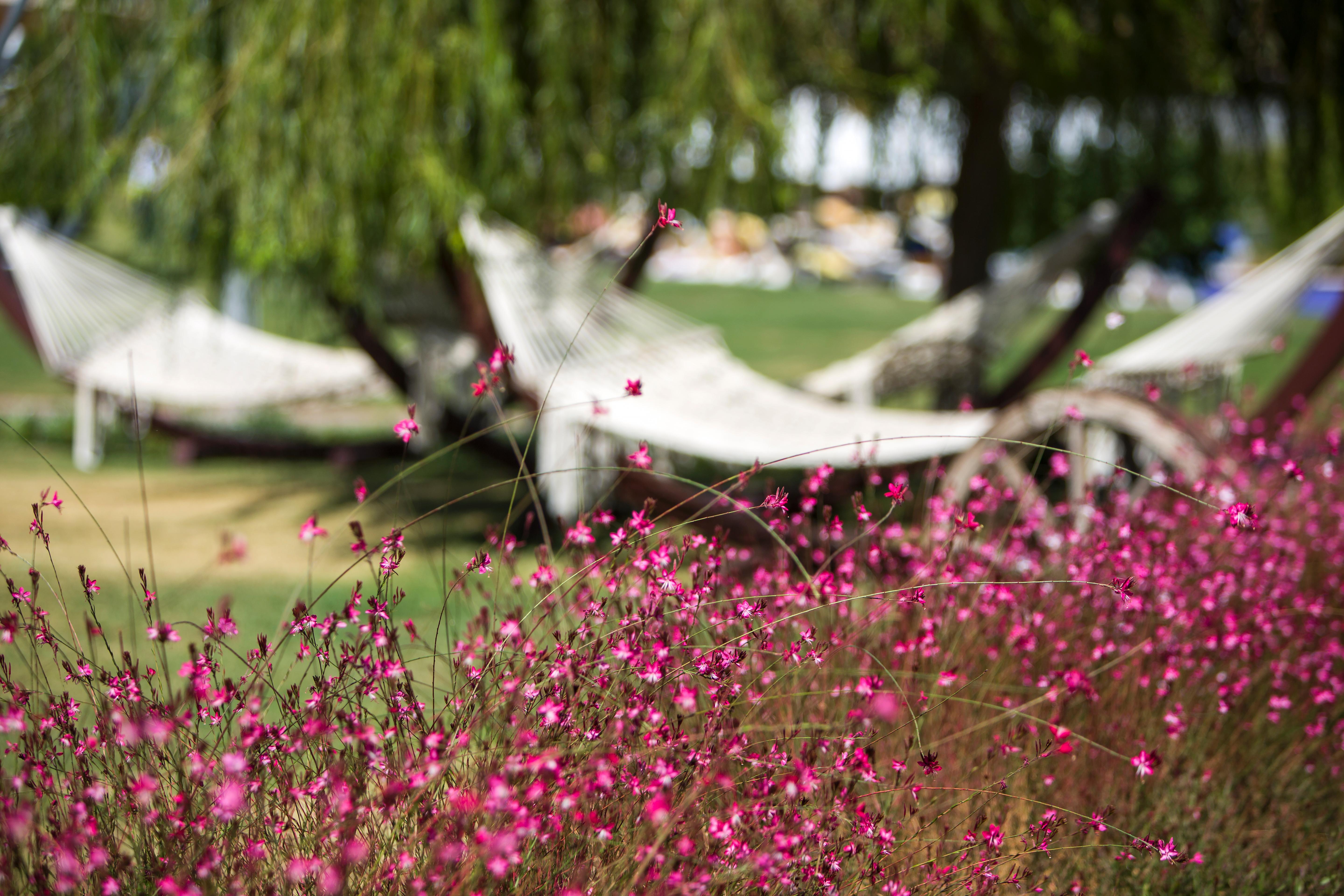 Xanthe Resort & Spa Evrenseki Εξωτερικό φωτογραφία